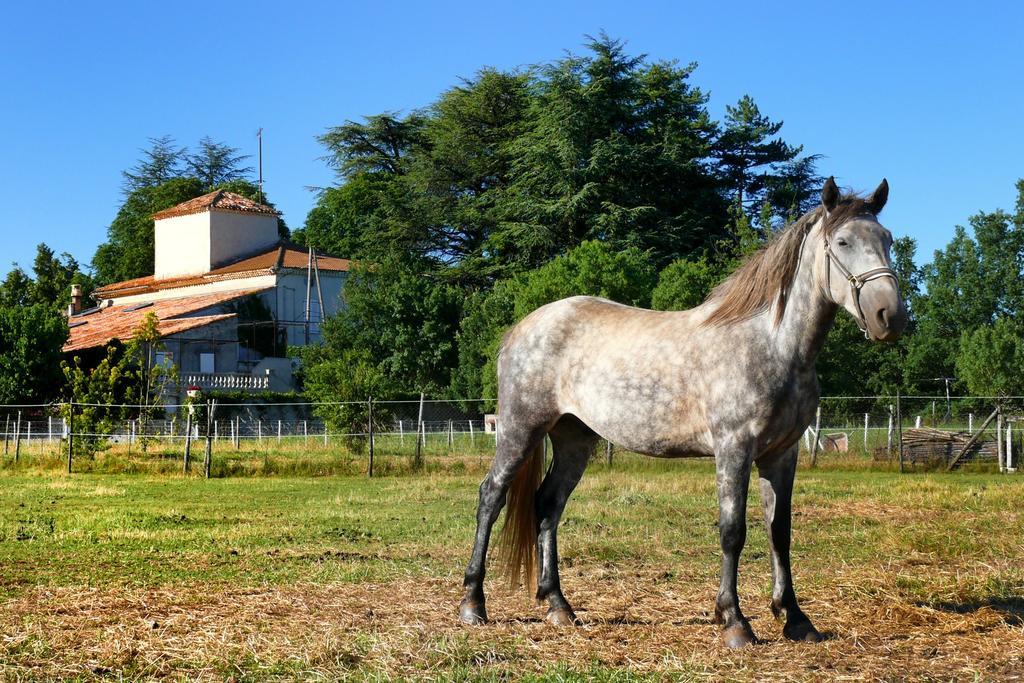 לינה וארוחת בוקר בודן Domaine De Majastre מראה חיצוני תמונה